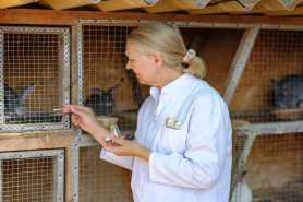 Czy prowadzenie działów specjalnych produkcji rolnej wlicza się do stażu pracy w ZUS, zasady i możliwości